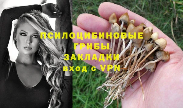 гашик Абдулино