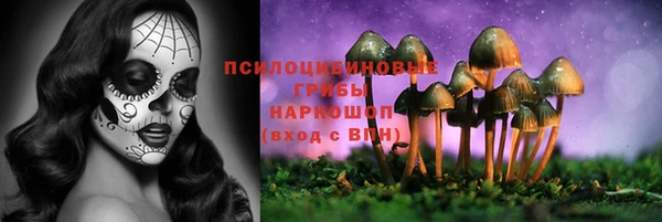 дмт Алексин