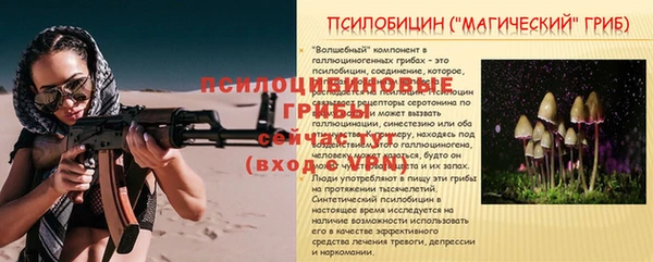 кокс Алзамай