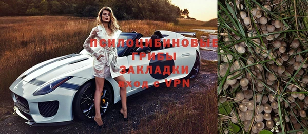 кокс Алзамай