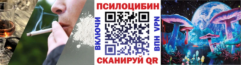 Псилоцибиновые грибы Psilocybe  Черноголовка 